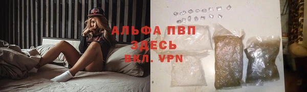 сатива Бронницы