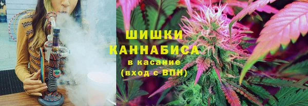 сатива Бронницы