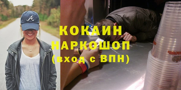 сатива Бронницы
