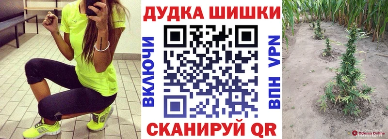 Конопля сатива  Новохопёрск 